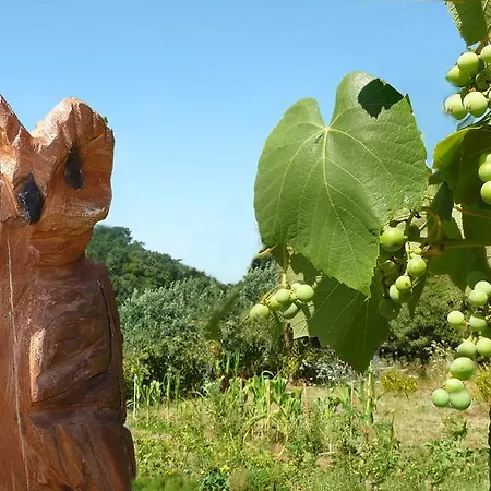 Lahnhaus Bruehl/ Fende Haus Appartamento Arfurt