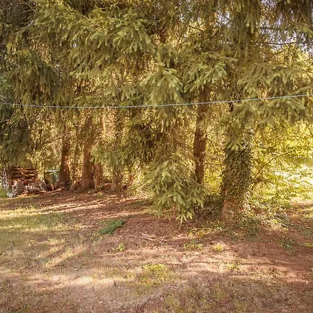 Lahnhaus Bruehl/ Fende Haus דירה Arfurt