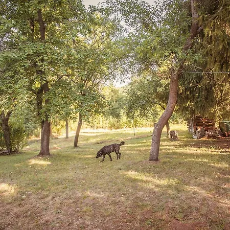 Lahnhaus Bruehl/ Fende Haus *