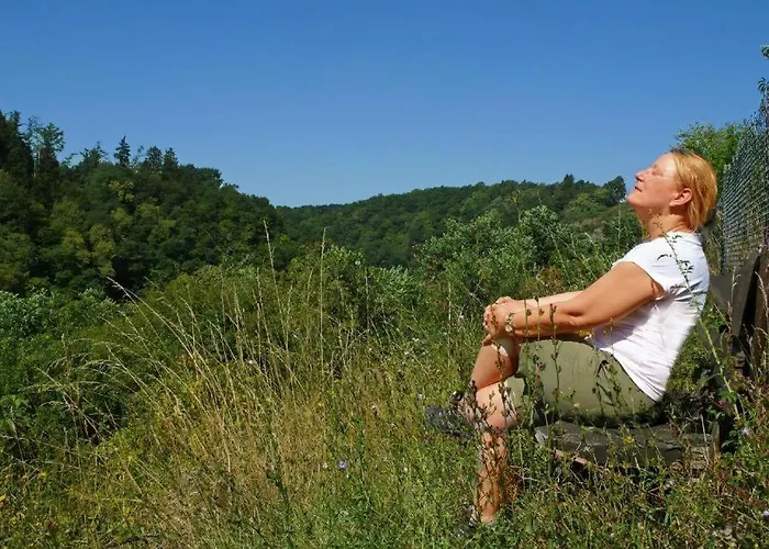 Apartament Lahnhaus Bruehl/ Fende Haus *