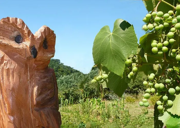 Lahnhaus Bruehl/ Fende Haus Apartament Arfurt