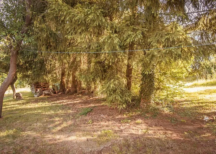 Lahnhaus Bruehl/ Fende Haus Apartament Arfurt