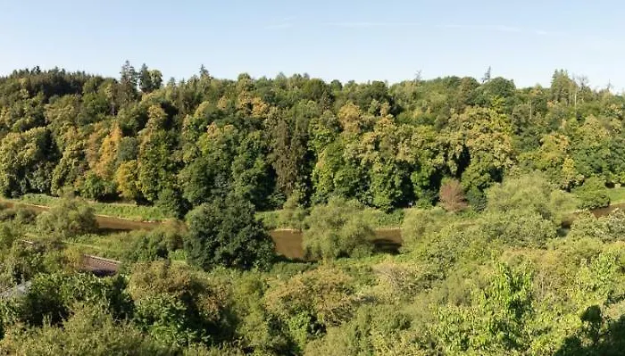 Lahnhaus Bruehl/ Fende Haus Apartament Arfurt